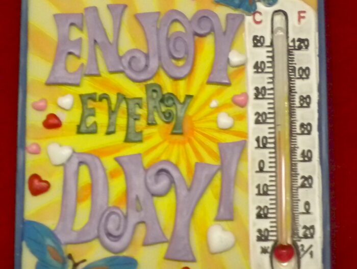 Enjoy Every Day Magnet