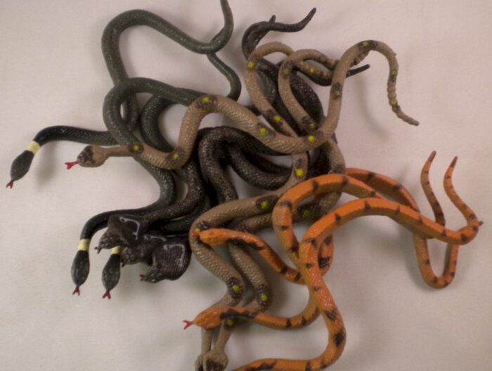 Scary 6" Rubber Snakes
