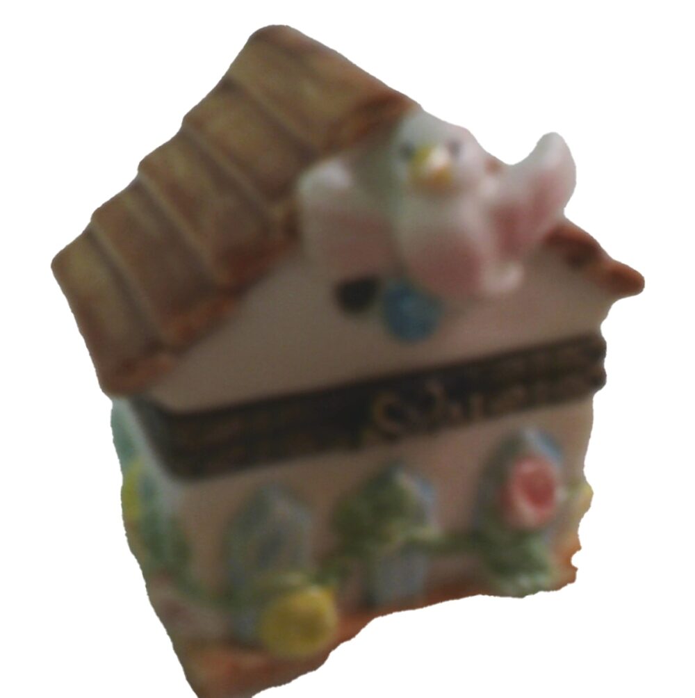 Bird House Trinket Box